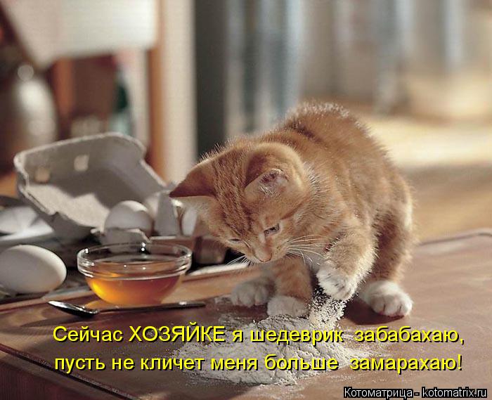 4743317_kotomatritsa__ (700x569, 62Kb)