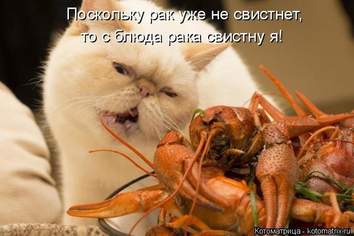 4743317_kotomatritsa_6O (700x466, 49Kb)