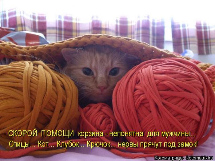 4743317_kotomatritsa_J_1 (700x524, 56Kb)