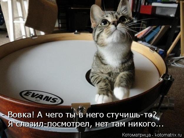 4743317_kotomatritsa_l (625x469, 46Kb)