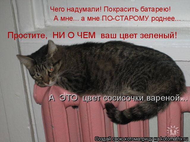 4743317_kotomatritsa_V_1 (640x480, 51Kb)