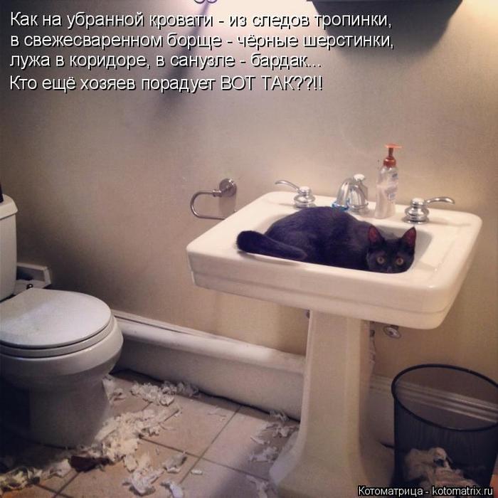 4743317_kotomatritsa_I (700x700, 59Kb)