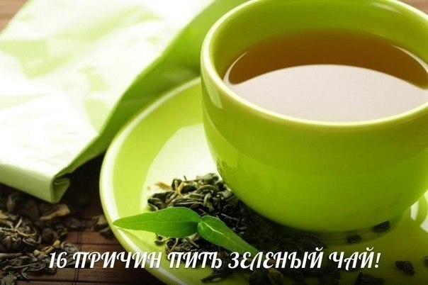 5774028_chai_1_ (604x402, 109Kb)