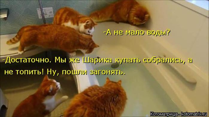 4743317_kotomatritsa__V (700x393, 38Kb)