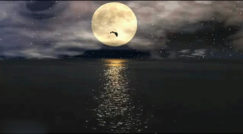 3833204_8e99fcf37e63eb92a0dbed251e9470f3 (496x274, 1694Kb)