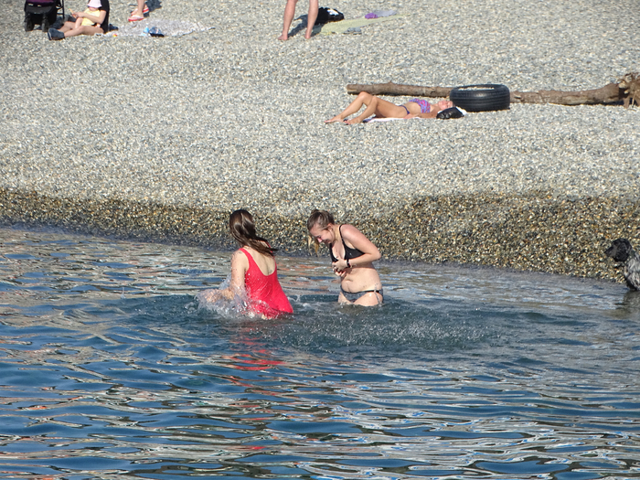 DSC00038 (700x525, 612Kb)