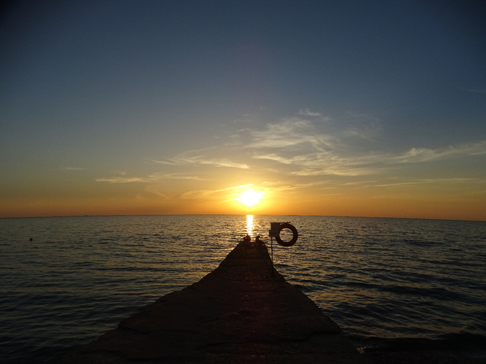 DSC00062 (700x525, 304Kb)