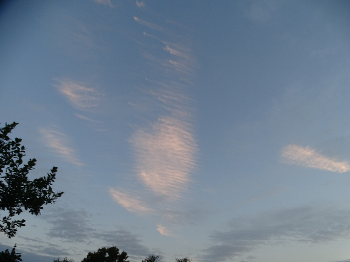 DSC00225 (700x525, 243Kb)