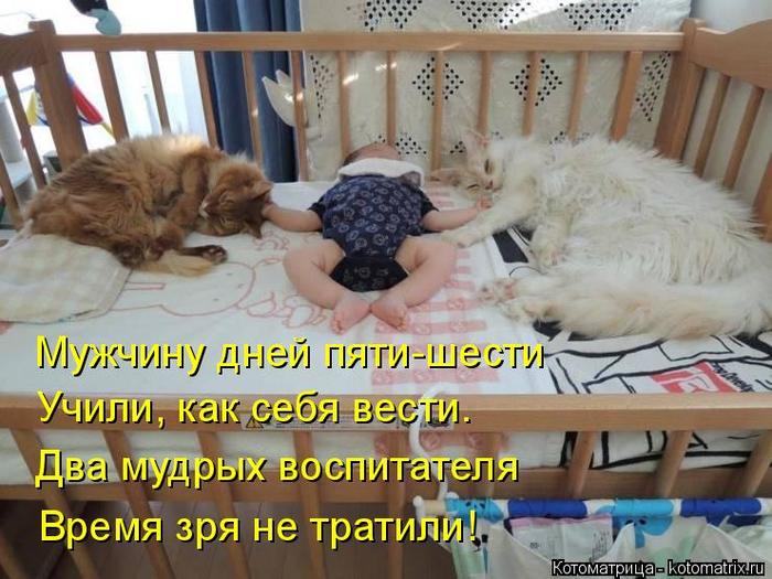 4743317_kotomatritsa__ (700x525, 67Kb)