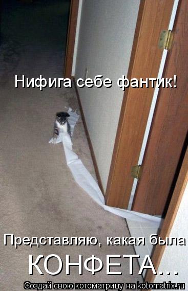 4743317_kotomatritsa_bb (367x569, 37Kb)