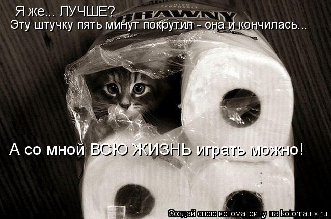 4743317_kotomatritsa_H (650x430, 53Kb)
