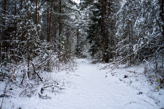 DSC04010 (640x425, 473Kb)