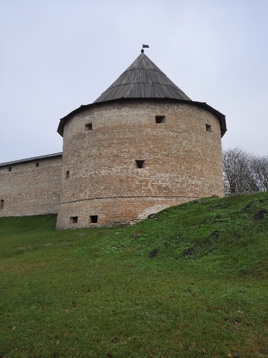 20201101_124843 (525x700, 429Kb)