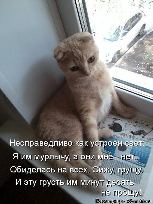 4743317_kotomatritsa_X (524x700, 59Kb)