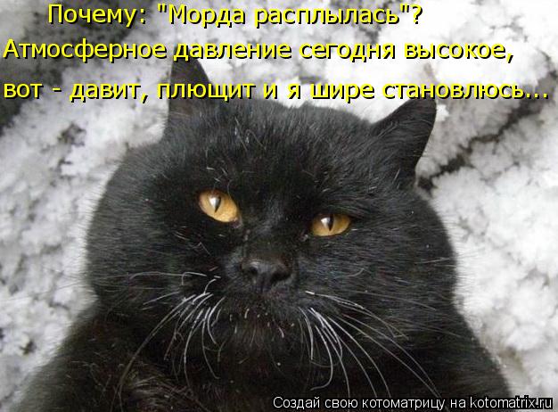 4743317_kotomatritsa_ks (626x462, 60Kb)
