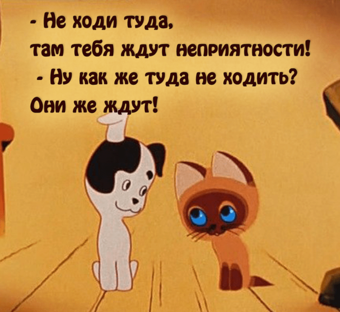 4743317_1604387519_mu5768x768 (700x644, 544Kb)