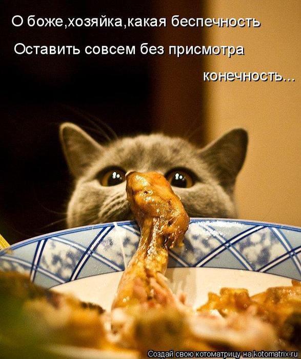 4743317_kotomatritsa_8O (587x700, 67Kb)