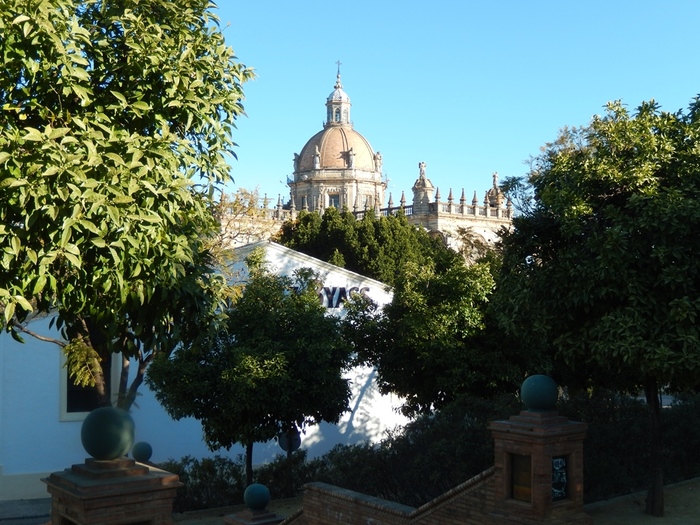 5322303_DSCN7415 (700x525, 215Kb)