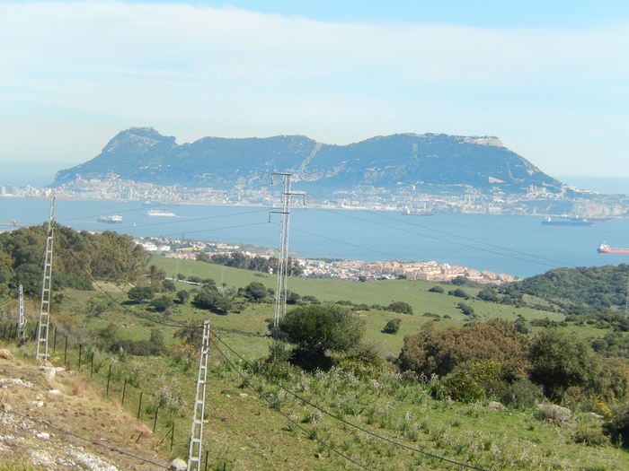 5322303_DSCN7522 (700x525, 178Kb)