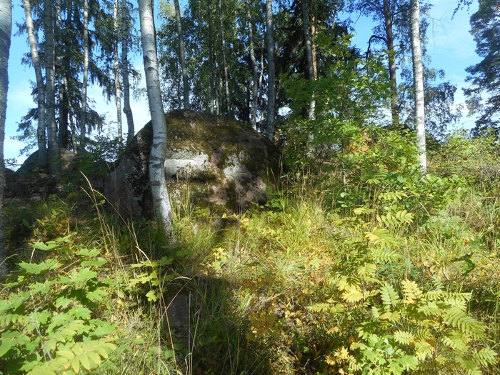 4752699_velnoo_696 (700x525, 402Kb)