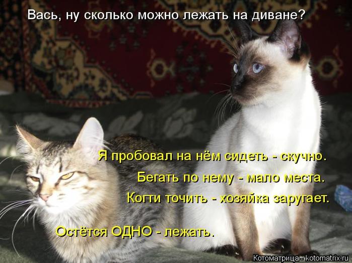 4743317_kotomatritsa_UU (700x524, 61Kb)