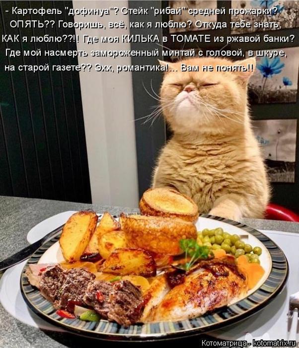 4743317_kotomatritsa_p (602x700, 90Kb)