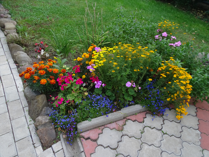DSC00104 (700x525, 560Kb)
