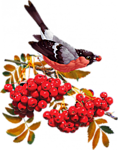 0_d090b_92b99626_S (118x150, 47Kb)