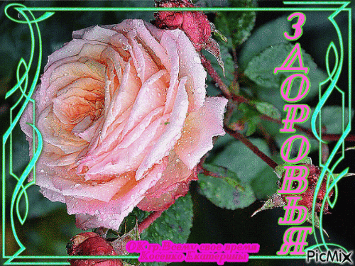  (500x375, 401Kb)