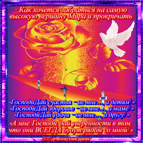            (500x500, 747Kb)