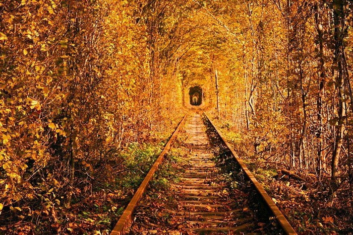 Tunnel-of-Love-Ukraine-autumn (700x467, 609Kb)