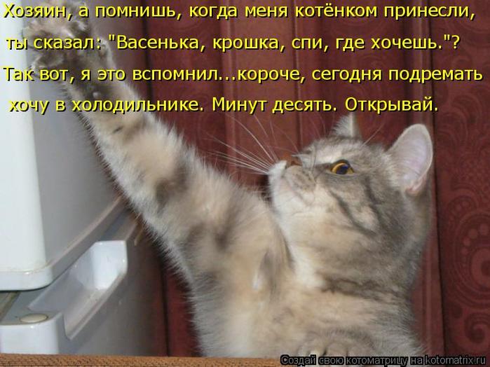 4743317_kotomatritsa_h (700x524, 60Kb)