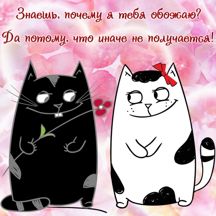 4743317_image20201121_09_15_54 (700x700, 272Kb)