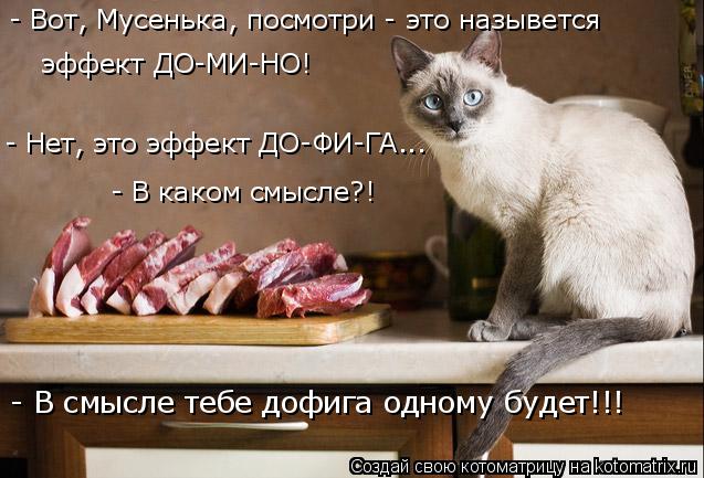 4743317_kotomatritsa_a (637x433, 56Kb)