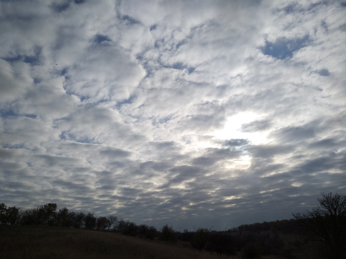 IMG_20201113_131814 (700x525, 275Kb)