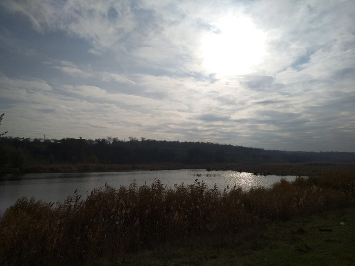 IMG_20201113_122048 (700x525, 264Kb)