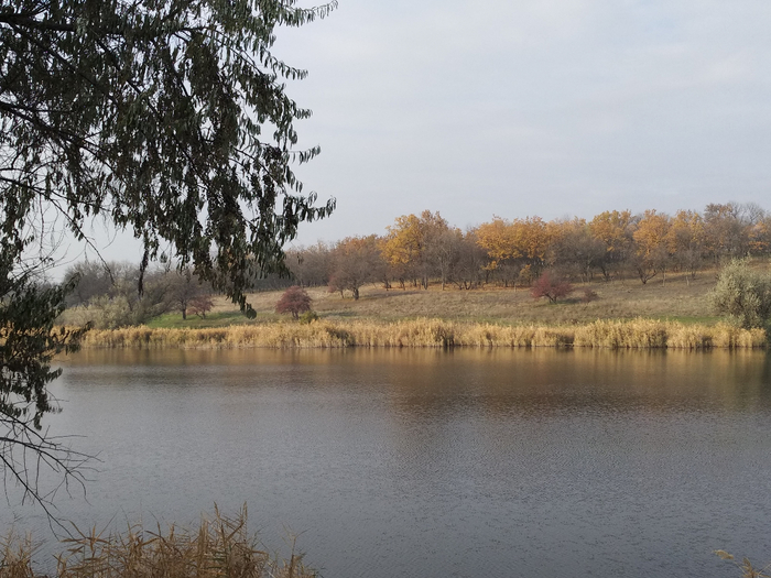 IMG_20201113_121416 (700x525, 372Kb)