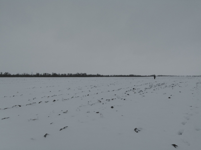 3922583_sneg_21_11 (700x525, 55Kb)