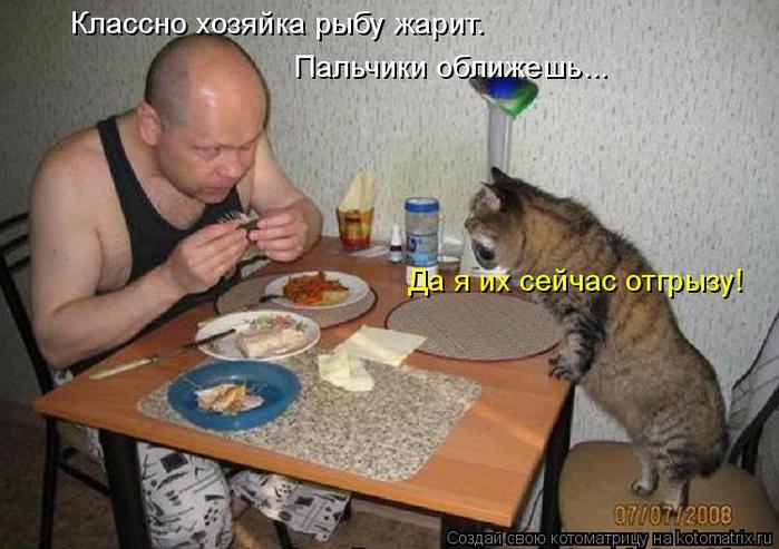 4743317_kotomatritsa_V (700x493, 57Kb)
