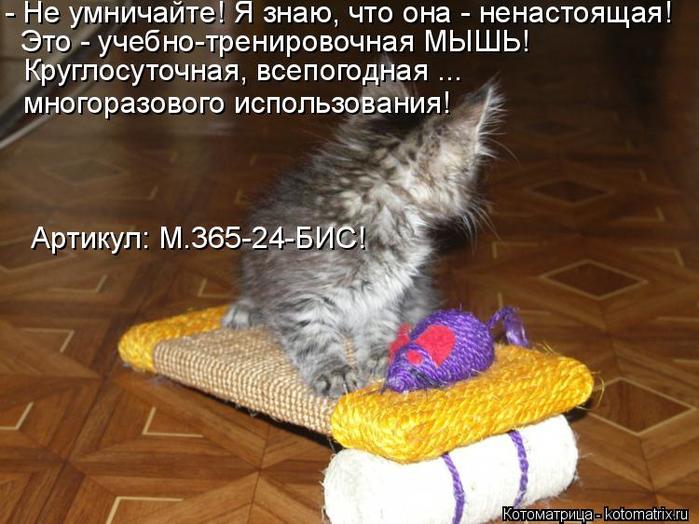 4743317_kotomatritsa_T (700x524, 63Kb)