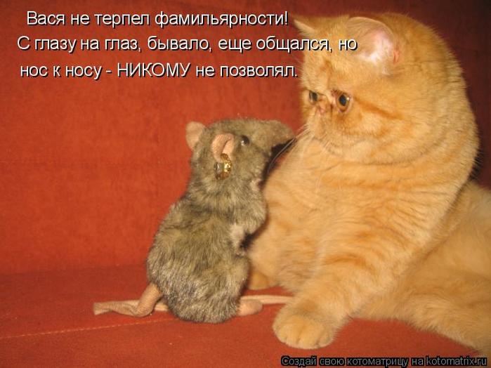 4743317_kotomatritsa_q (700x524, 49Kb)