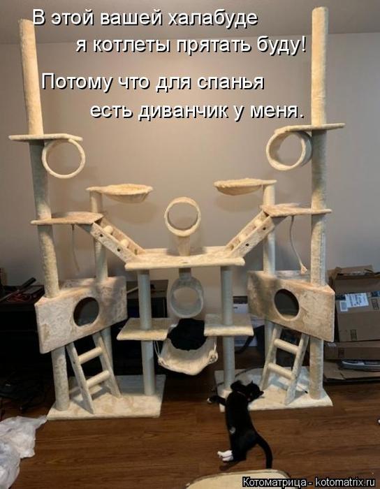 4743317_kotomatritsa_H (544x700, 53Kb)