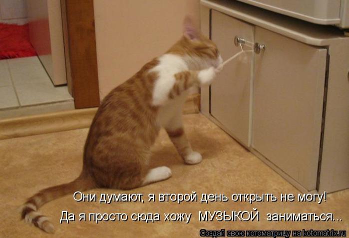4743317_kotomatritsa_5 (700x476, 40Kb)