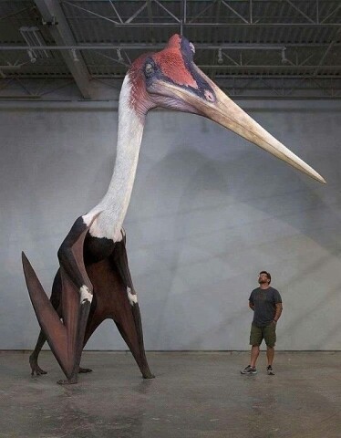 127199479_194875622224953_6904133074987192184_n (374x480, 38Kb)