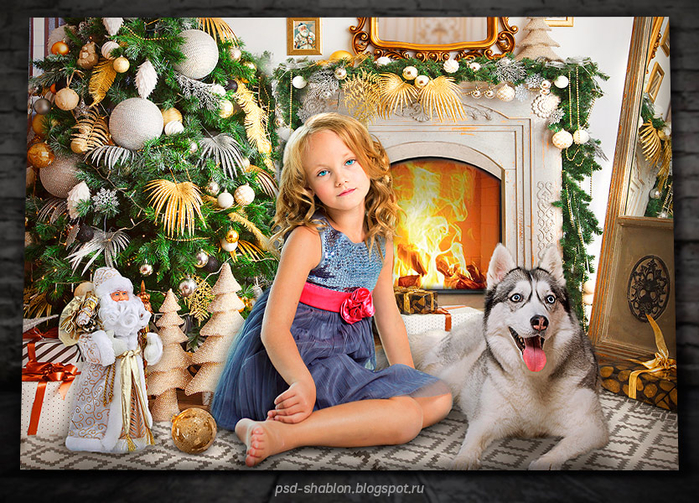 Interior_dogG (700x503, 580Kb)