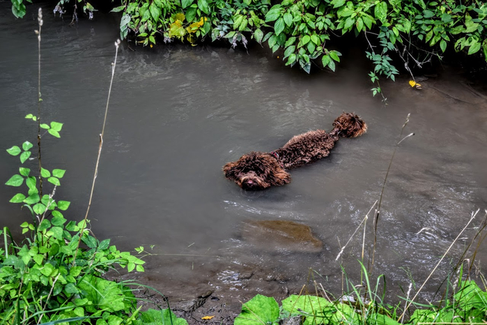 ю1 (700x466, 371Kb)