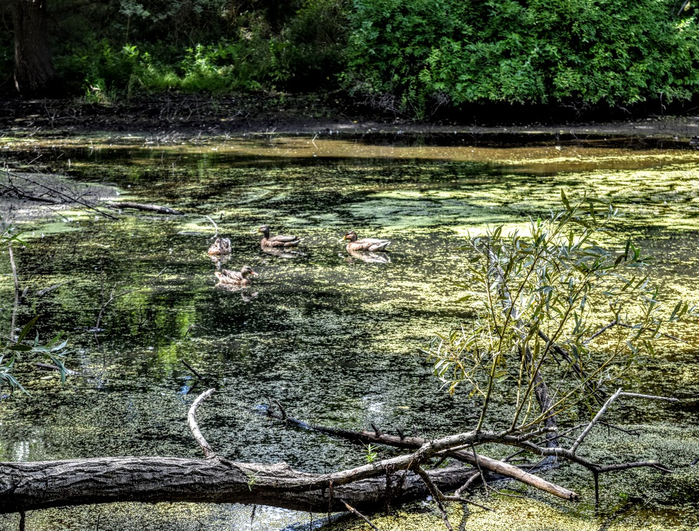 ю2 (700x531, 582Kb)