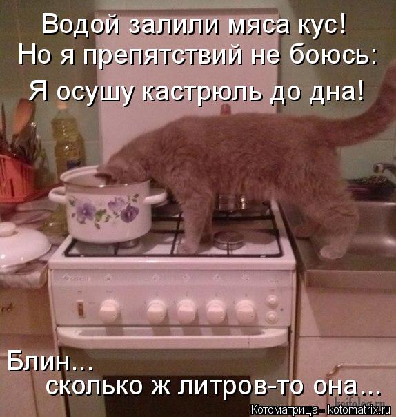 4743317_kotomatritsa_Tf (574x604, 63Kb)
