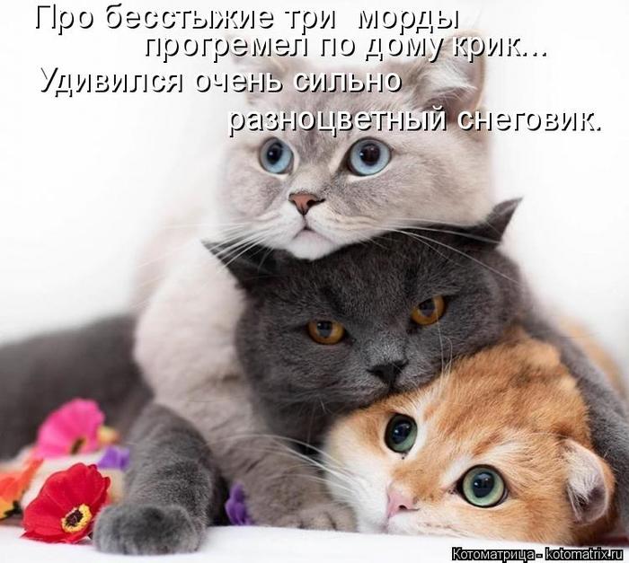 4743317_kotomatritsa_h (700x627, 63Kb)