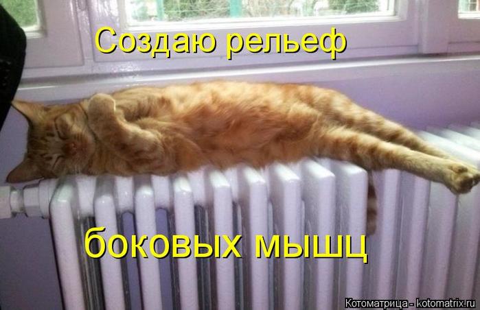 4743317_kotomatritsa_u_1 (700x452, 47Kb)